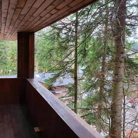 Mikerynos 1 Sinaia